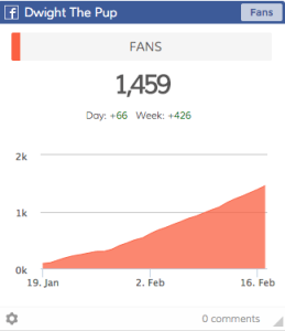 This line graph trends cumulative Facebook fans by day