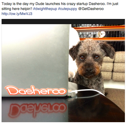 Our dog Dwight helping John with the startup.